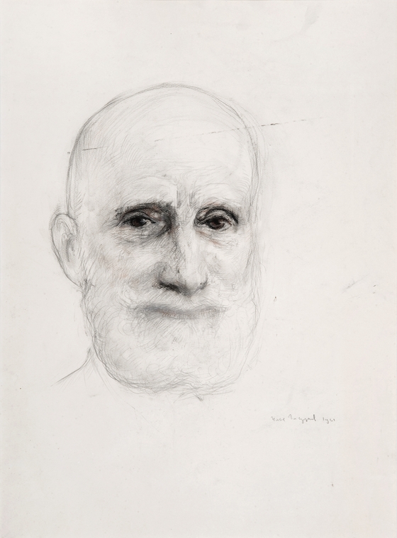 Портрет Василия Витальевича Шульгина Портрет Василия Витальевича Шульгина