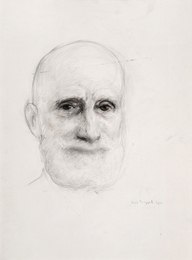 Портрет Василия Витальевича Шульгина